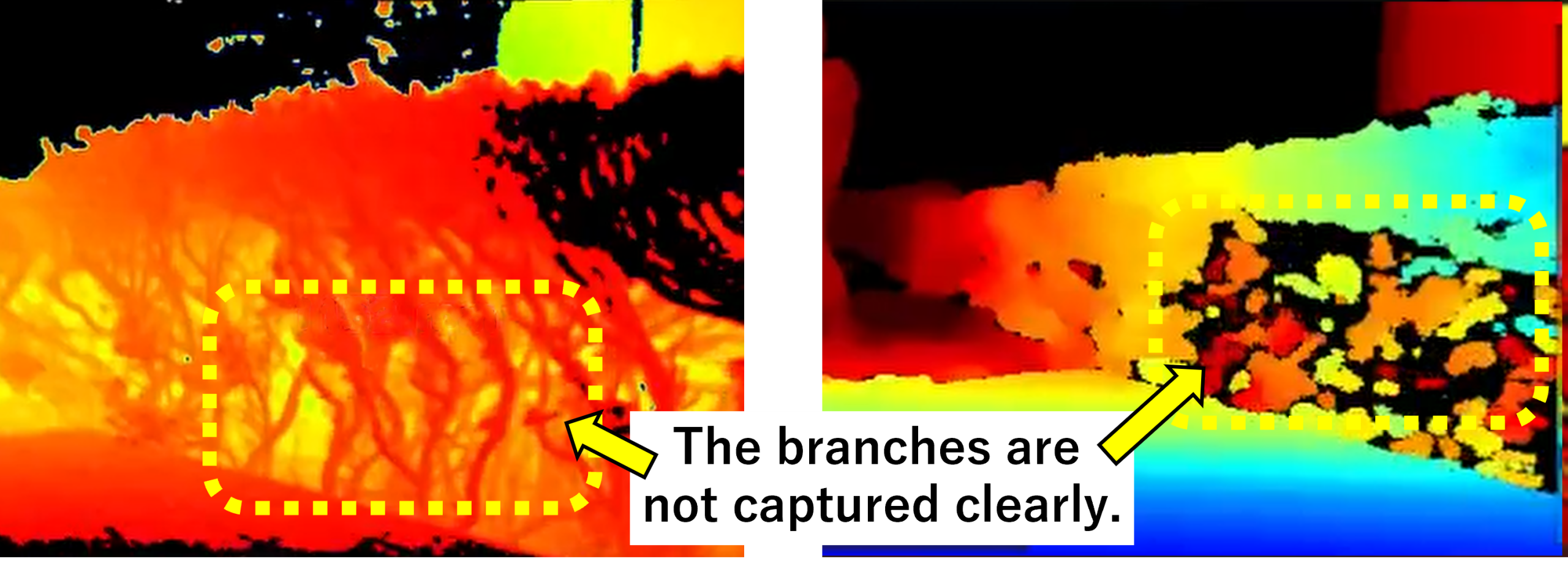 Vegetation depth image by Company A and B cameras